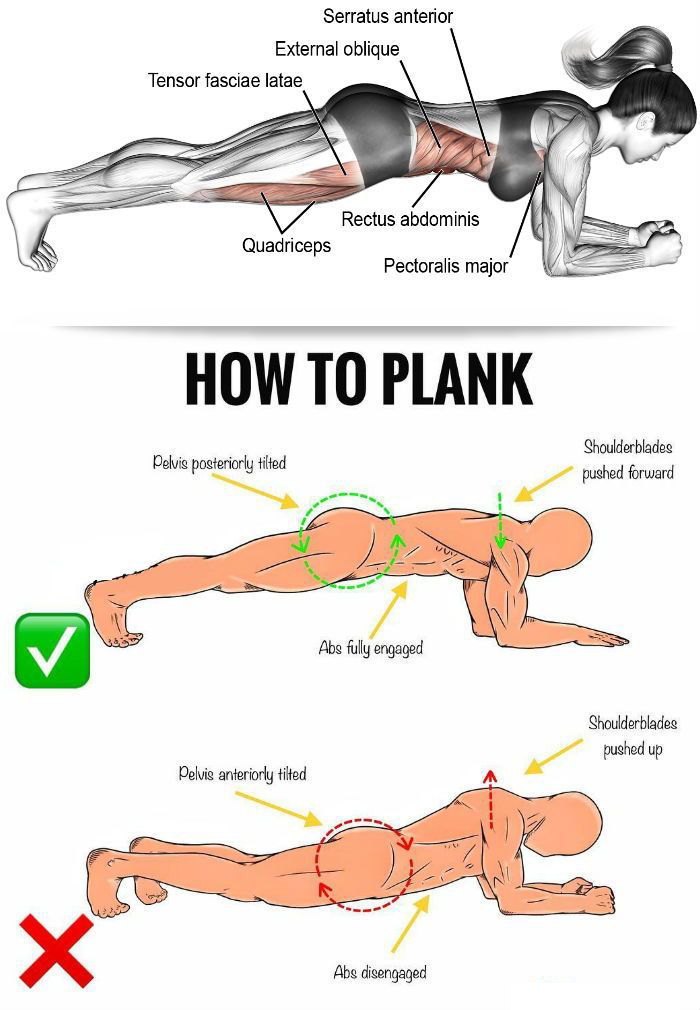Plank hold